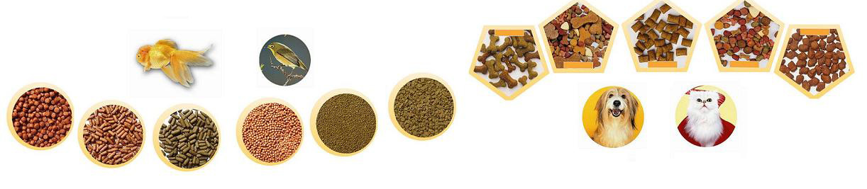 Pet Food Seasoning Machine
