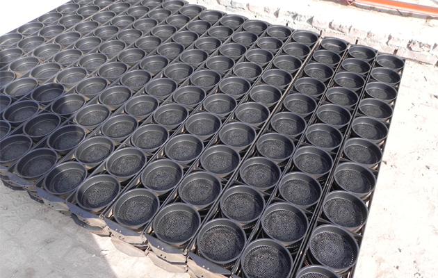 Bowl Instant Noodles Processing Plant