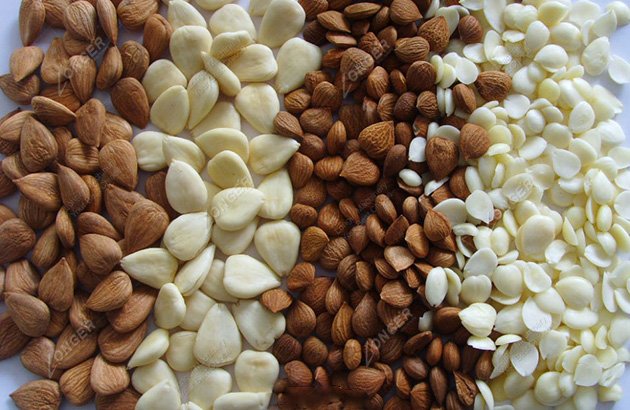 Nuts