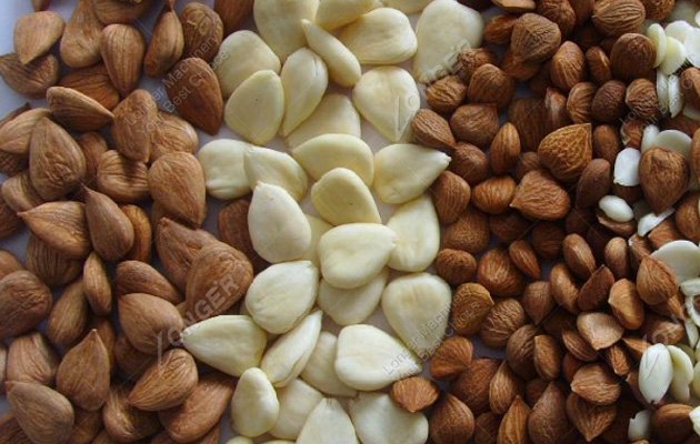 Almond Peeler Machine