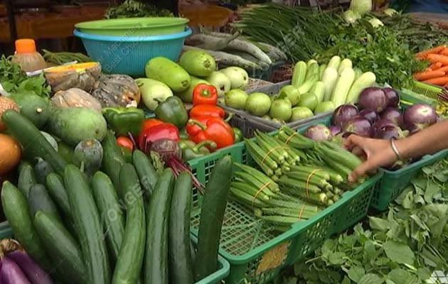 Vegetable Blanching Machine