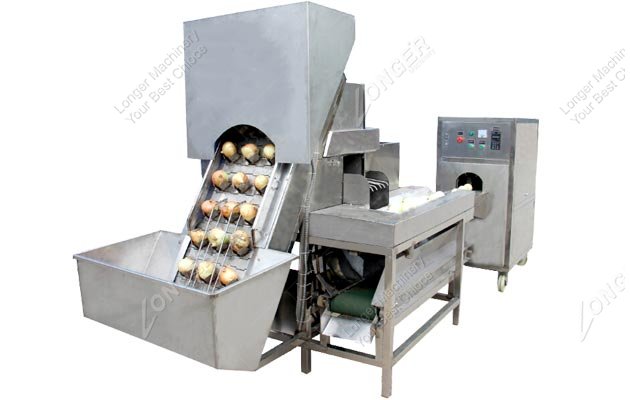 Onion Peeling And Root Cutting Machine