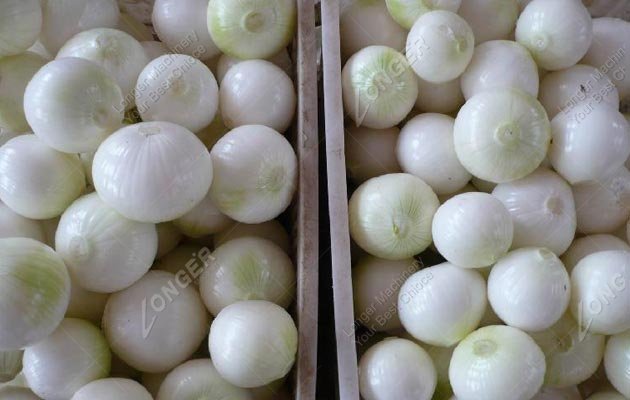 Peeling Machine for Onions