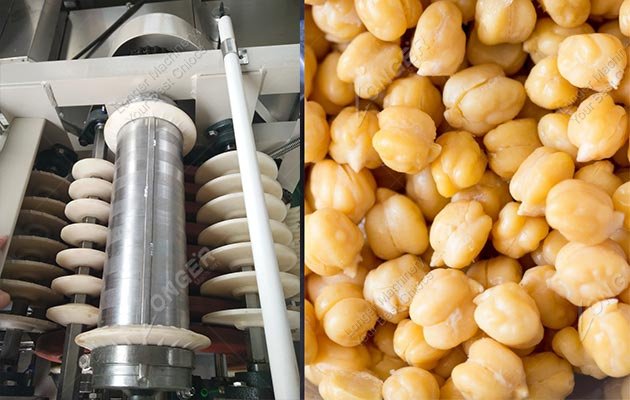 Peeled Chickpeas