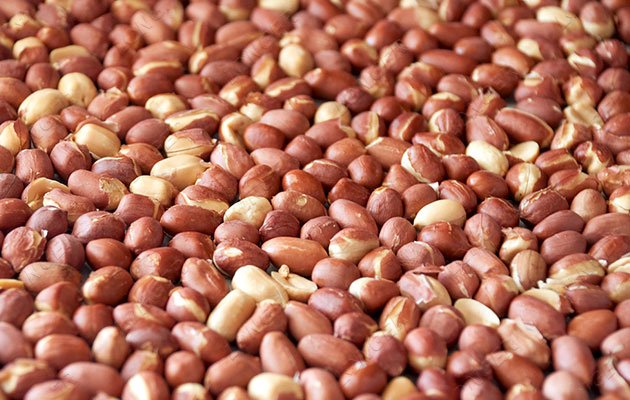 Rotary Drum Peanut Roaster Price